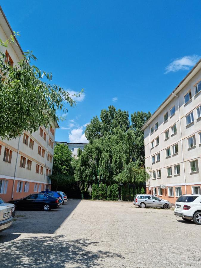 Garsoniere Aby Apartment Turnu Magurele Exterior photo